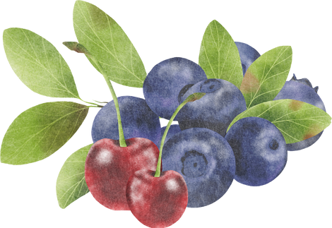 Watercolor Berries Illustration
